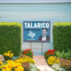 James Talarico for Texas Yard Sign
