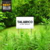 Talarico For Texas Yard Sign