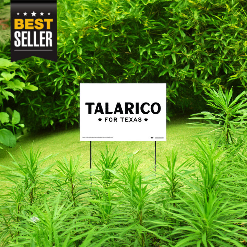 Talarico For Texas Yard Sign