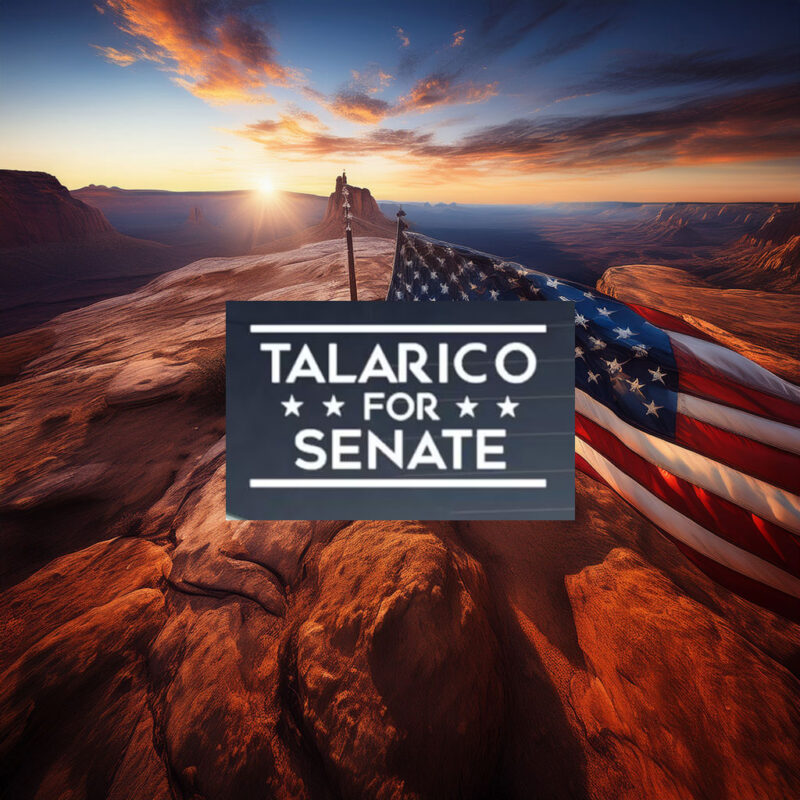 Talarico for Senate Vinyl Sticker