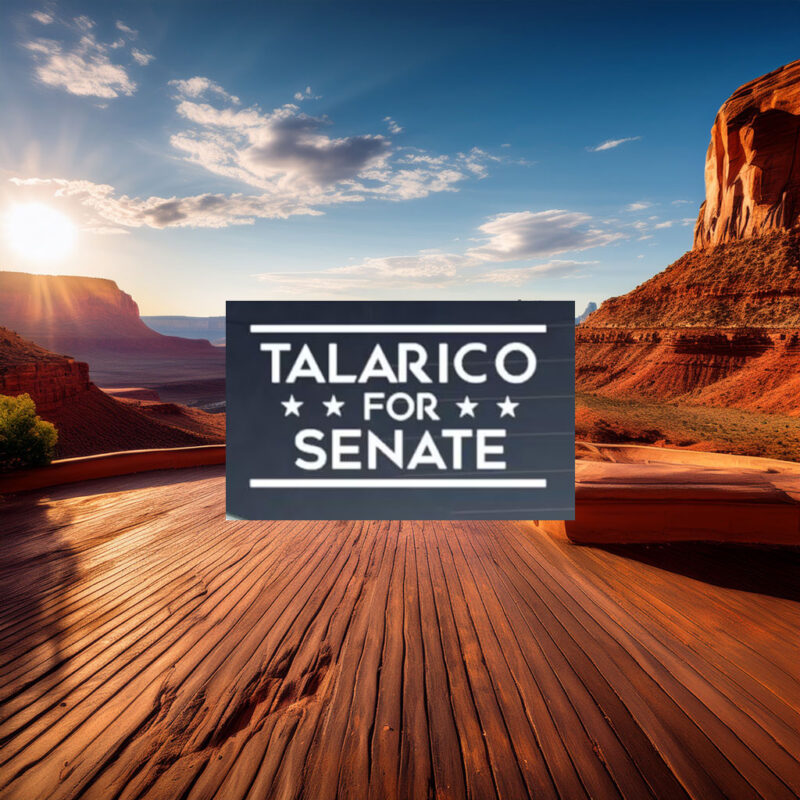 Talarico for Senate Vinyl Sticker