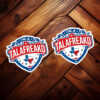 I'm A Talafreako Sticker, Talarico Sticker, Texas Senate Election Vote Decal