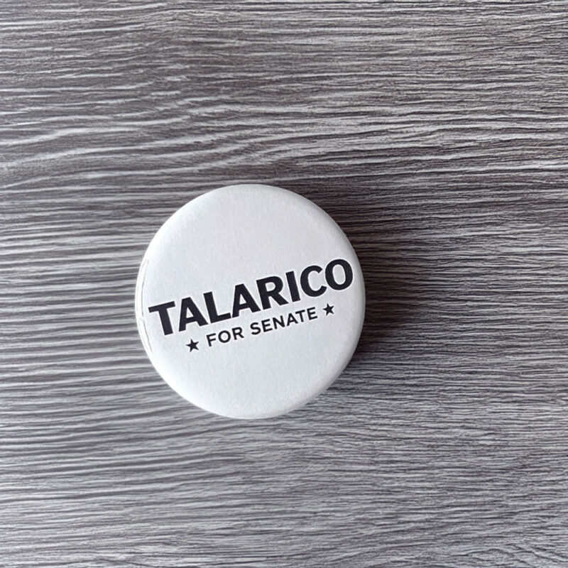 James Talarico for Senate Pin Button