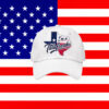 I’m a Talafreako Political Activist Hat – James Talarico 2026 Cap